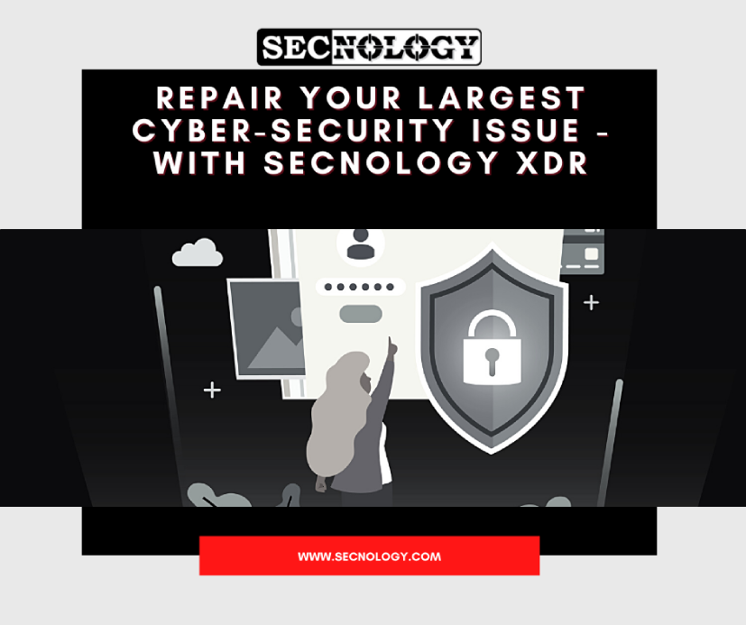 Repair your largest cyber-security issue - with SECNOLOGY XDR